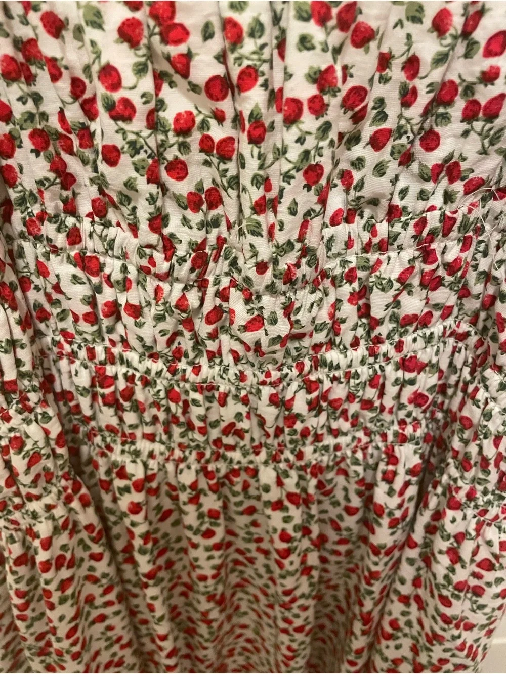 Abercrombie & Fitch maxi Dress with strawberry Red Floral Print